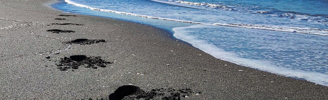 Черные пески Уреки (Магнетити)